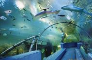 「广州」海洋馆：20年前的海底隧道，深海景观令人着迷