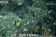 揭秘｜你见过千年珊瑚吗？“科学”号在深海中发现了它！
